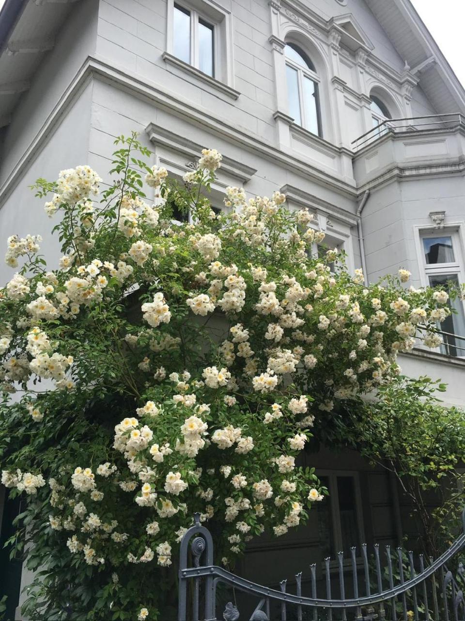 Ruhige Wohnung In Zentral Gelegener Gruenderzeitvilla Oldenbourg Extérieur photo